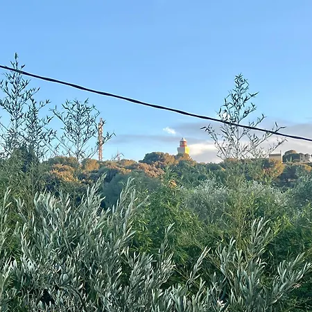De La Salis, Belle Terrasse Antibes