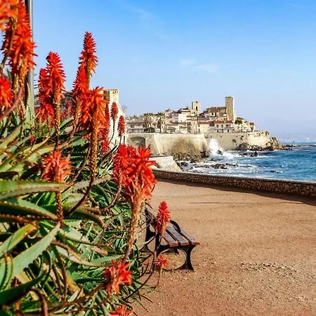 De La Salis, Belle Terrasse * Antibes